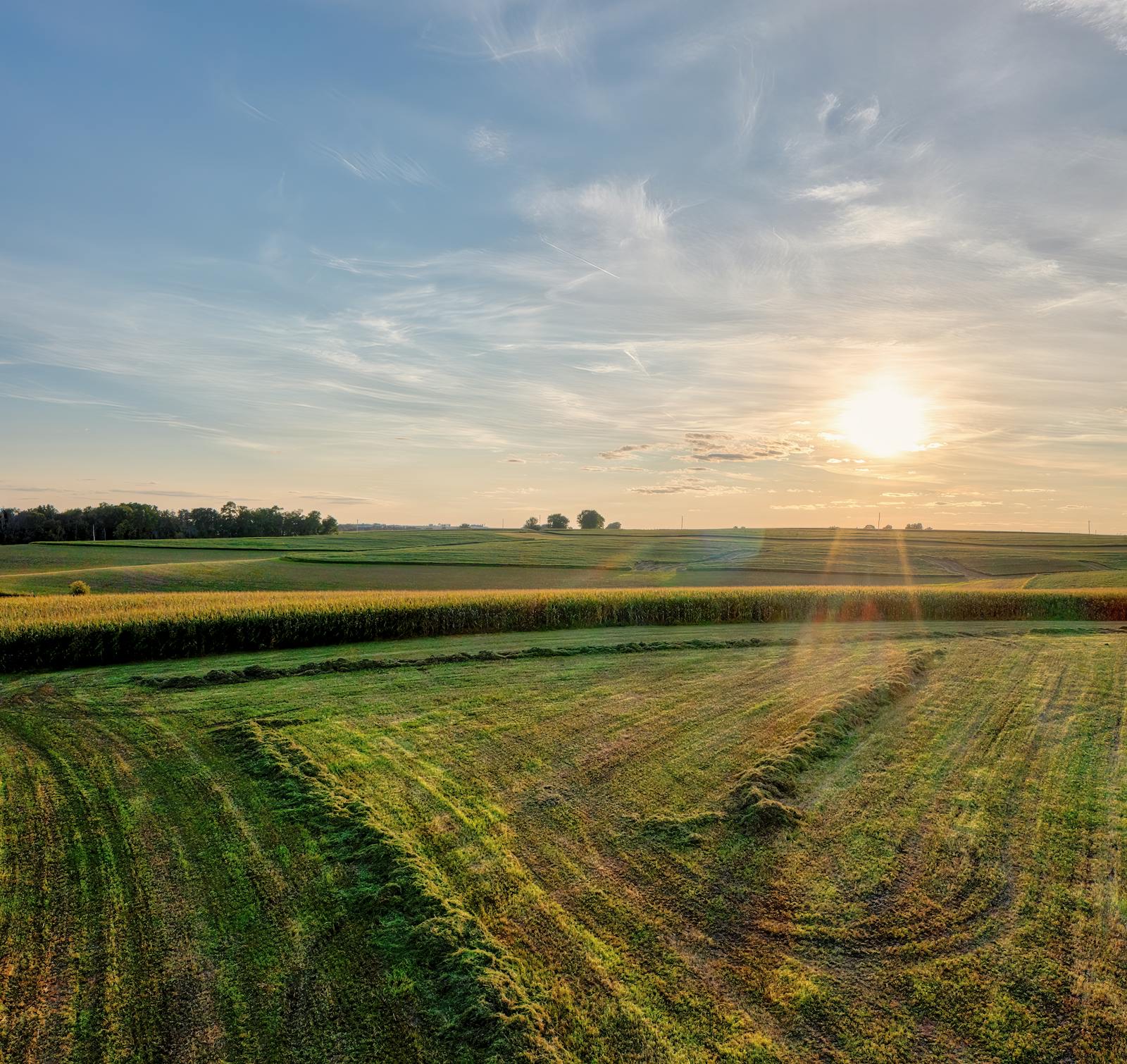Aerial view of Midwest farmland at sunset