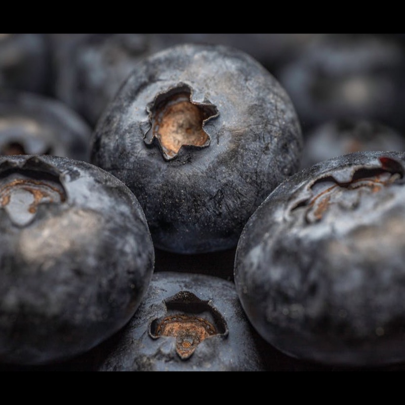 Blueberry ingredient