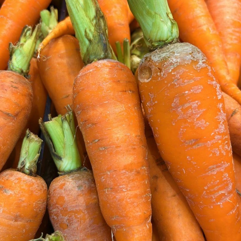 Carrot ingredient