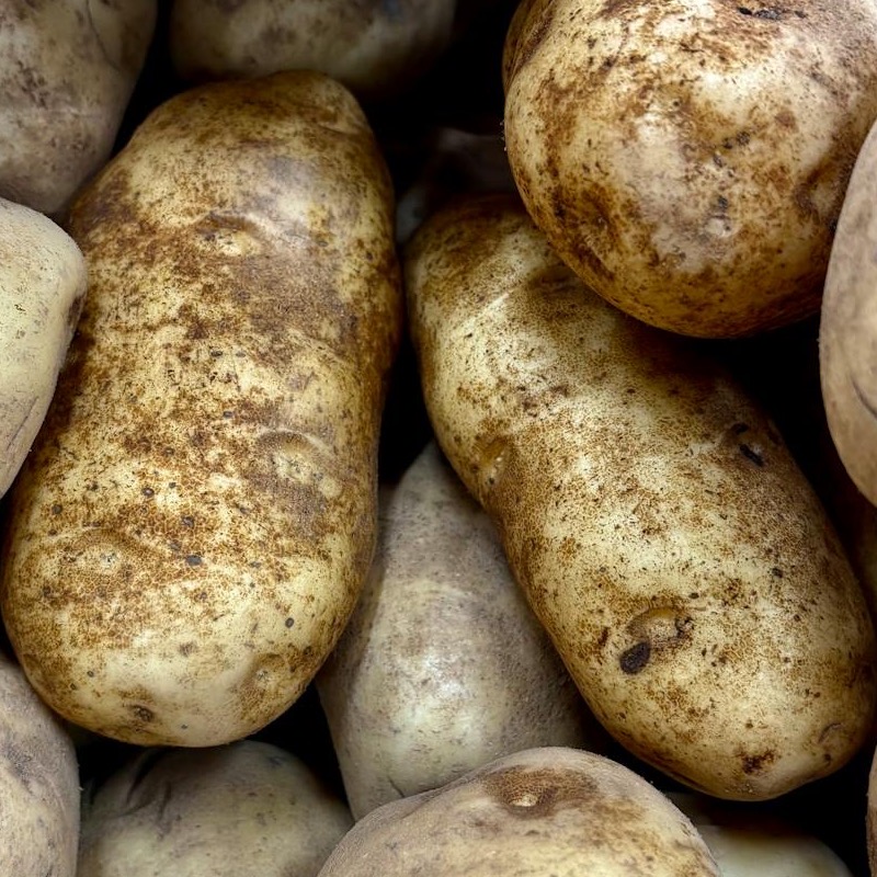 Potato ingredient