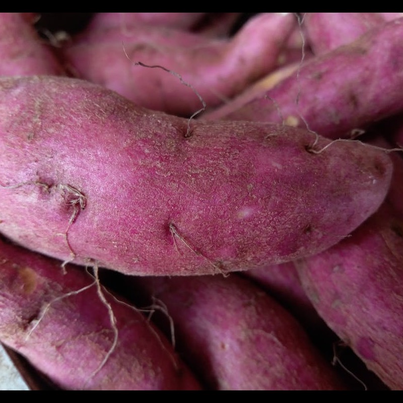 Sweet Potato ingredient