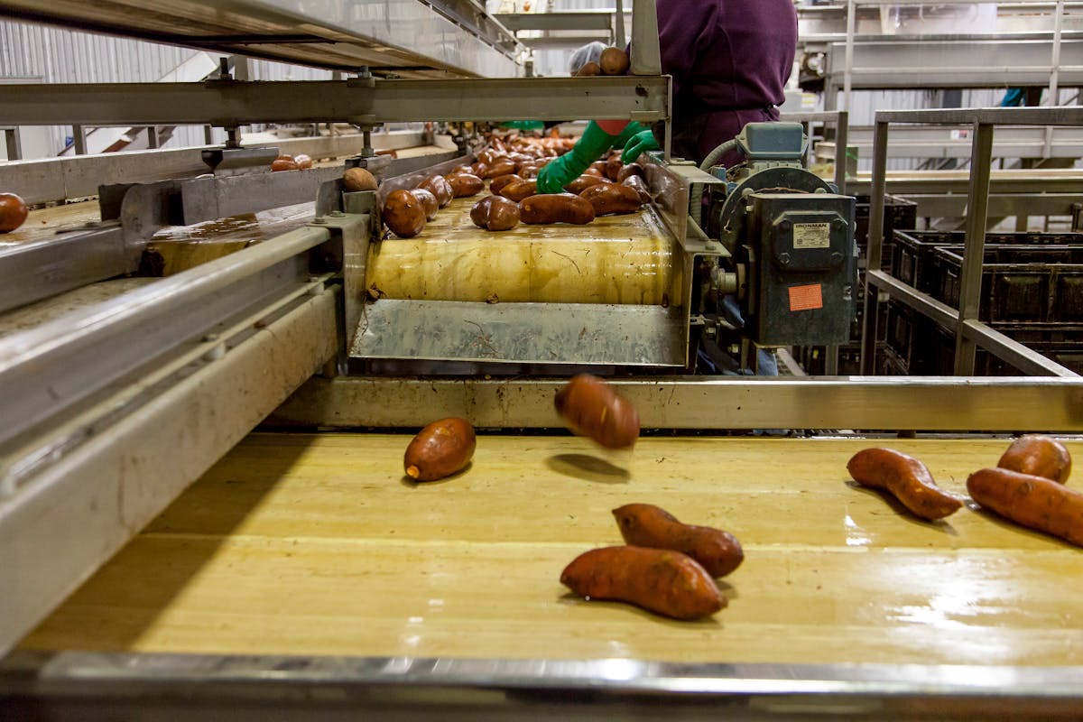Industrial food-grade processing equipment